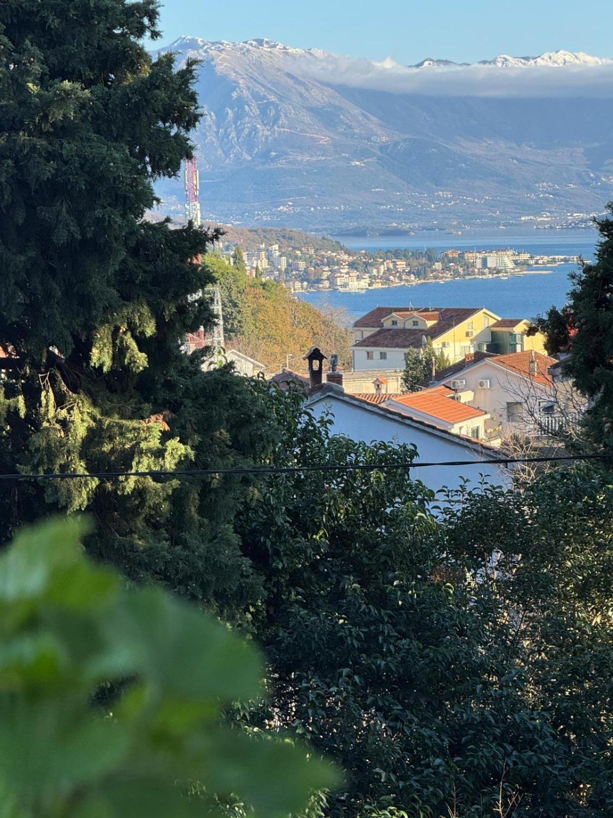 Studio Apartment Palma Herceg Novi Zewnętrze zdjęcie
