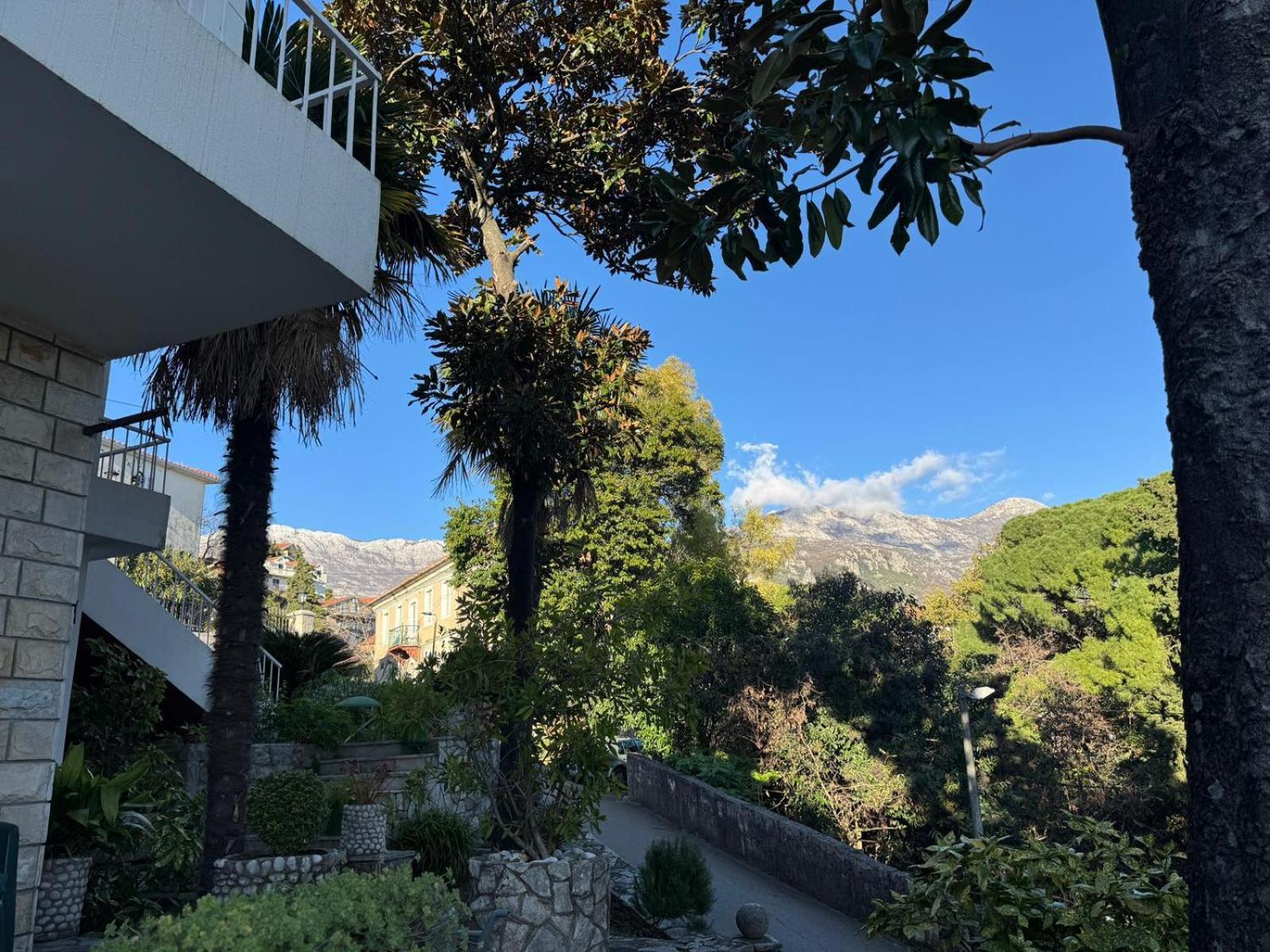 Studio Apartment Palma Herceg Novi Zewnętrze zdjęcie