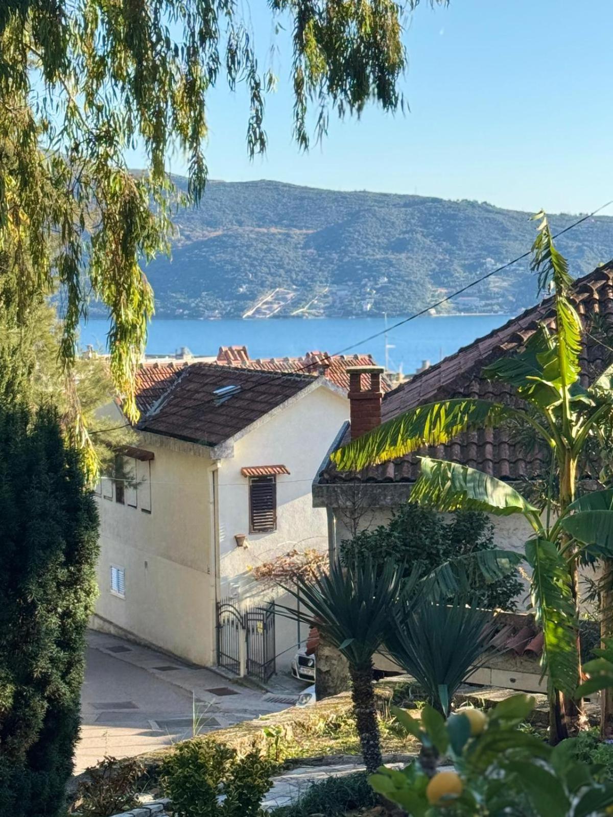 Studio Apartment Palma Herceg Novi Zewnętrze zdjęcie