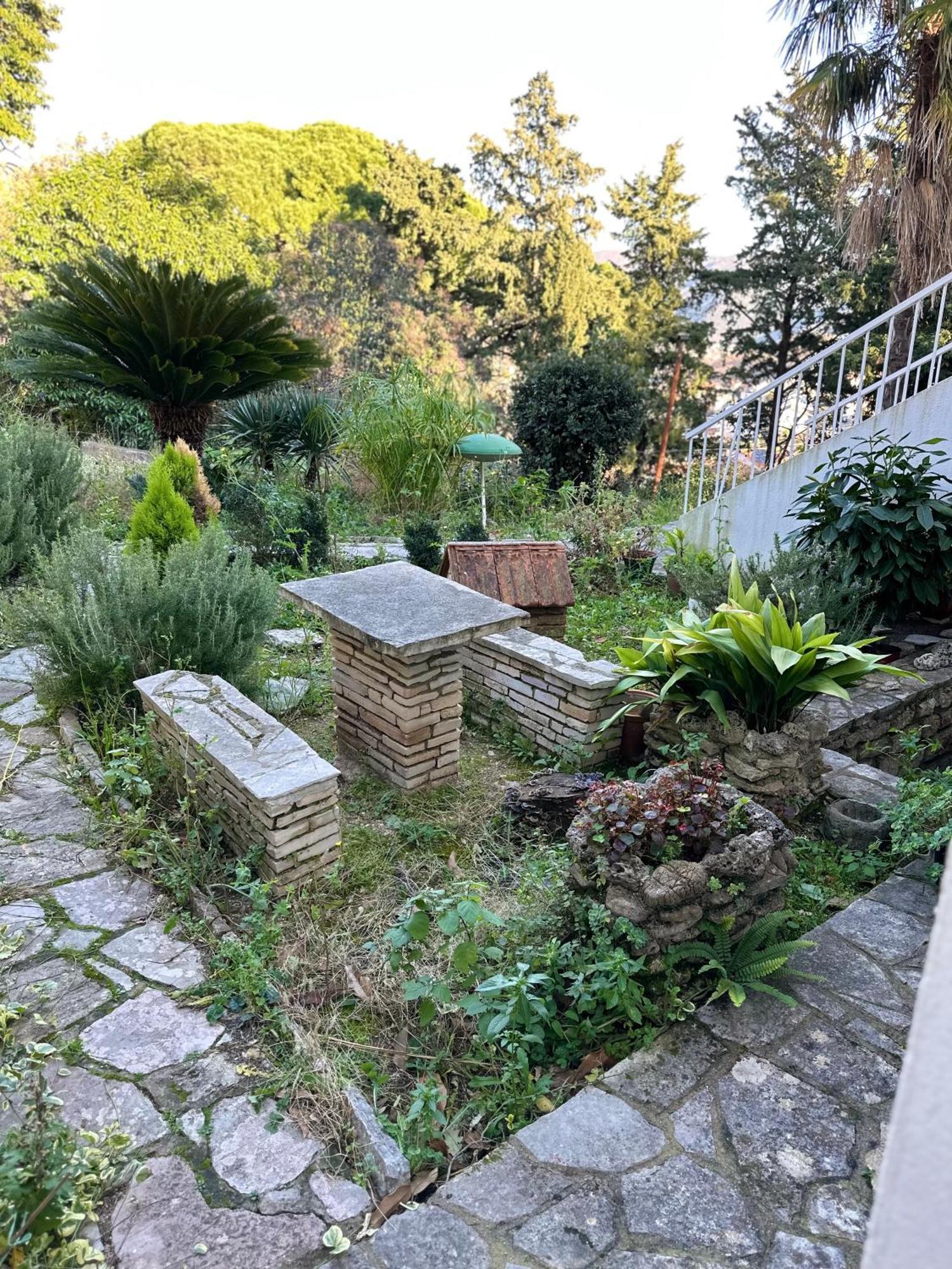 Studio Apartment Palma Herceg Novi Zewnętrze zdjęcie